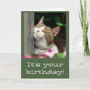 Tarjeta de cumpleaños sonriente del gato