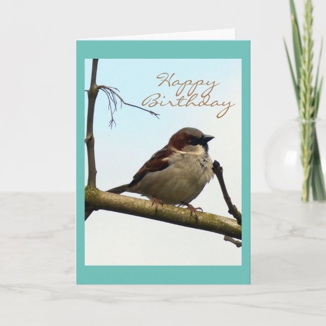 Tarjeta de cumpleaños Sparrow (Anverso)