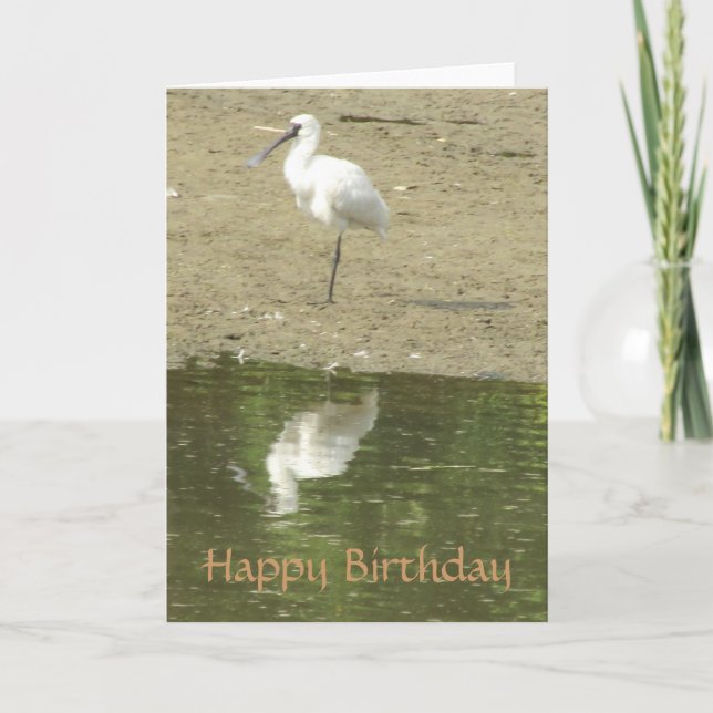 Tarjeta de cumpleaños Spoonbill (Anverso)