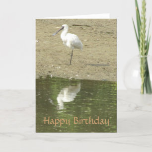Tarjeta de cumpleaños Spoonbill