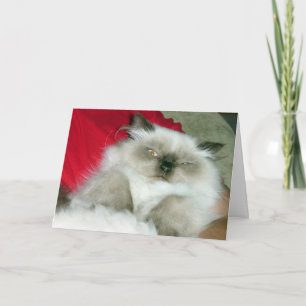 Tarjeta de cumpleaños Squinty Himmy