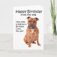 Tarjeta de cumpleaños Staffordshire Bull Terrier