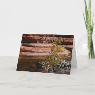Tarjeta de cumpleaños Step Dad