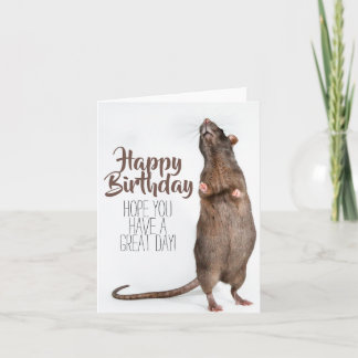 Tarjeta de cumpleaños Stretchy Rat
