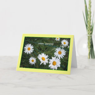 Tarjeta de cumpleaños Summer Daisies
