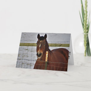 Tarjeta de cumpleaños "Supremo Reinado"