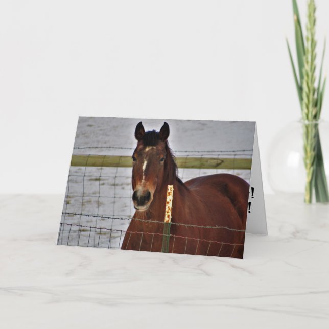 Tarjeta de cumpleaños "Supremo Reinado" (Anverso)