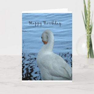 Tarjeta de cumpleaños Swan
