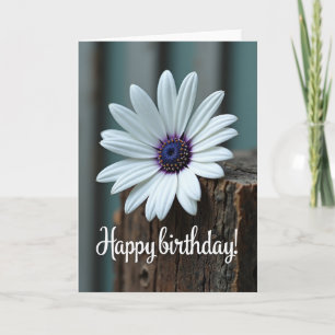 Tarjeta de cumpleaños Sweet Birthday Daisy Blossom