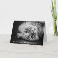 Tarjeta de cumpleaños tan Meowvelous