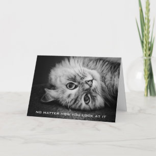 Tarjeta de cumpleaños tan Meowvelous