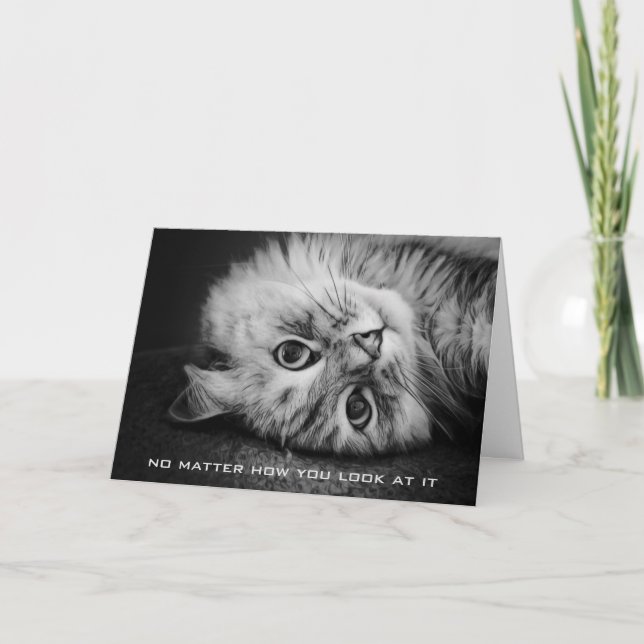 Tarjeta de cumpleaños tan Meowvelous (Anverso)
