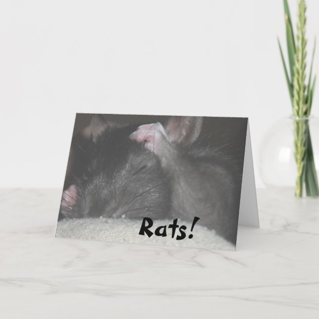 Tarjeta de cumpleaños tardía (Anverso)