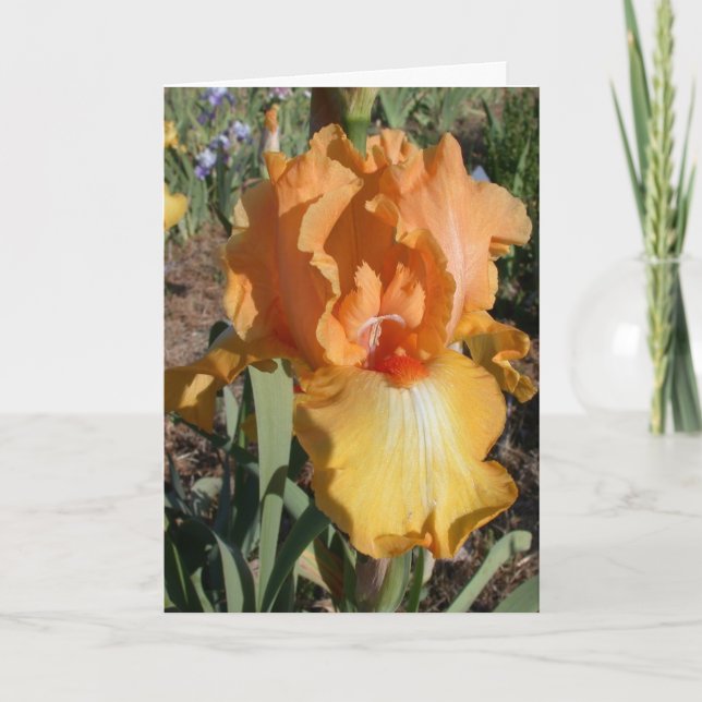 Tarjeta de cumpleaños tardía - memoria (Anverso)