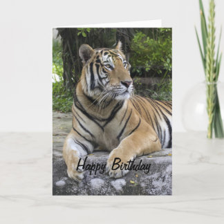 Tarjeta de cumpleaños Tiger Blank