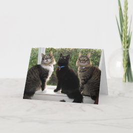 Tarjeta de cumpleaños "Time For Cake" de tres amig