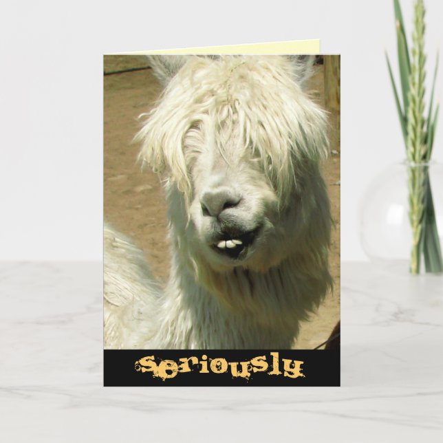 Tarjeta de cumpleaños tonta de la llama (Anverso)
