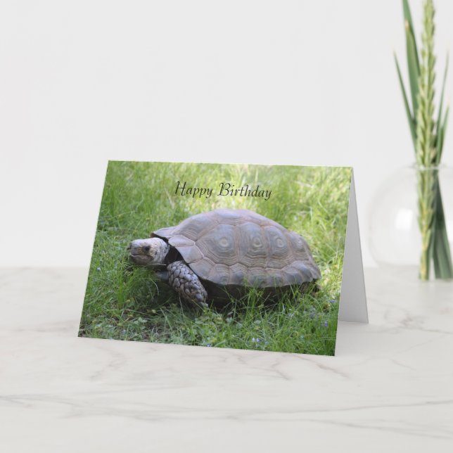 Tarjeta de cumpleaños Tortoise (Anverso)