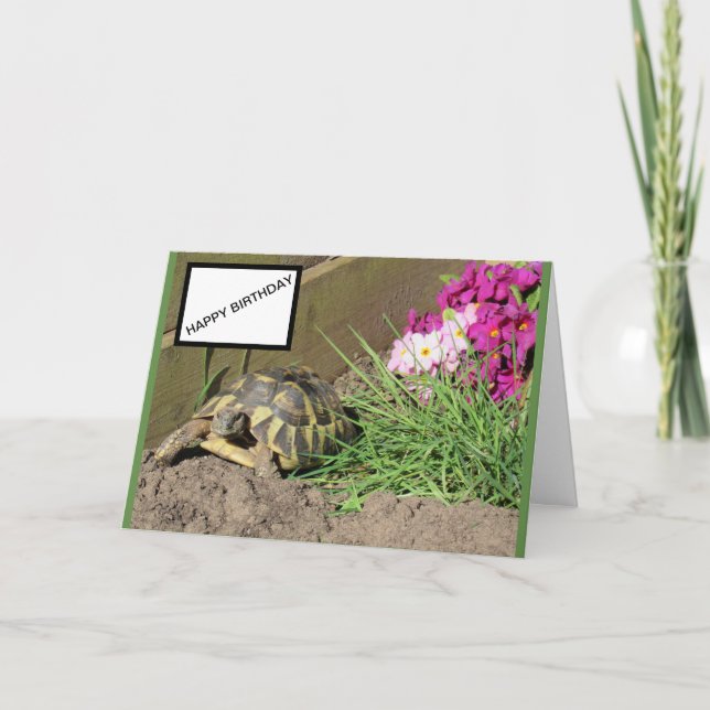 Tarjeta de cumpleaños Tortoise Happy (Anverso)