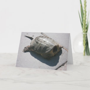 Tarjeta de cumpleaños "Tortuga gigante que rapta"