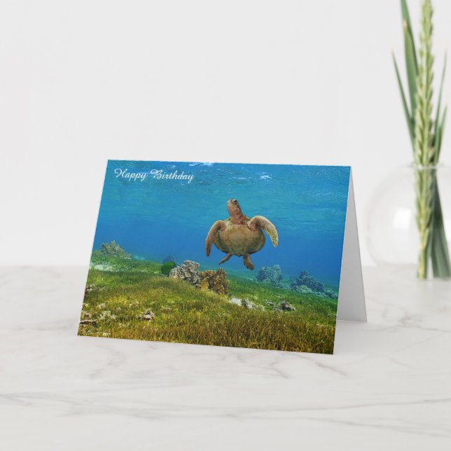 Tarjeta de cumpleaños Tortuga marina (Anverso)