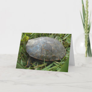 Tarjeta de cumpleaños "Tortuga Pintada Arboreto"
