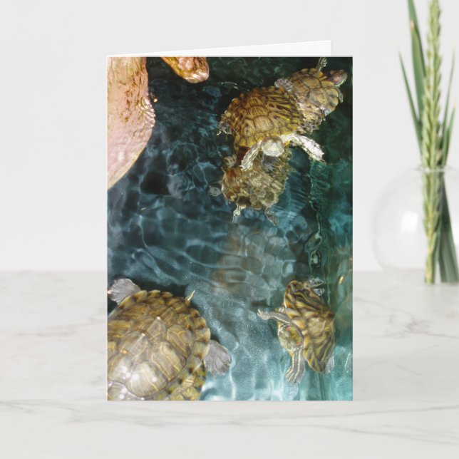 Tarjeta de cumpleaños "Tortugas Nadadoras" (Anverso)
