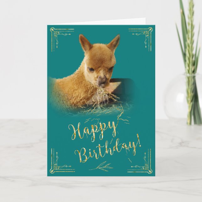 Tarjeta de cumpleaños Verde azulado Alpaca Gold Ha (Anverso)