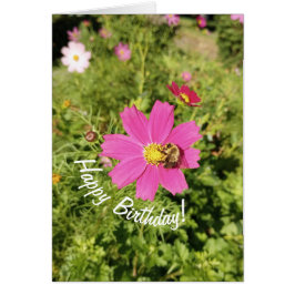 Tarjeta de cumpleaños Vivid Pink Cosmos Flower