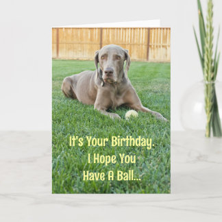 Tarjeta de cumpleaños Weimaraner