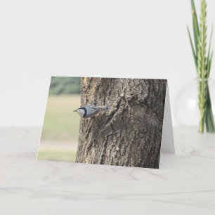 Tarjeta de cumpleaños "White-peche Nuthatch"