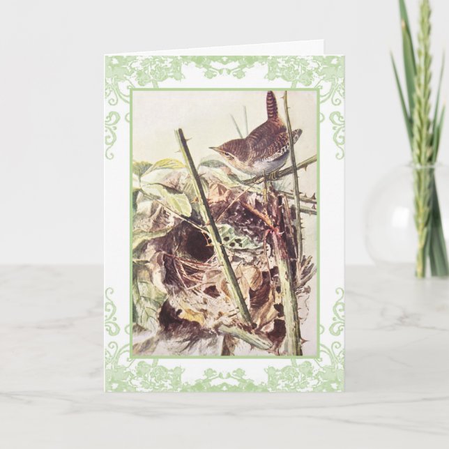 Tarjeta de cumpleaños Wren vintage (Anverso)