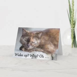 Tarjeta de cumpleaños y gato: despierta por un fel