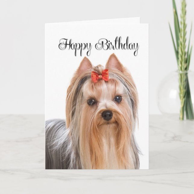 Tarjeta de cumpleaños Yorkie (Anverso)