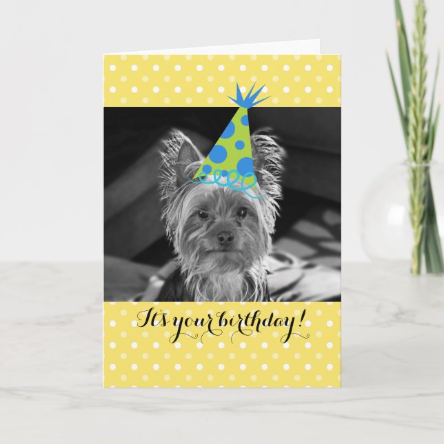 Tarjeta de cumpleaños Yorkie Dog (Anverso)