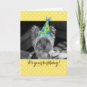 Tarjeta de cumpleaños Yorkie Dog