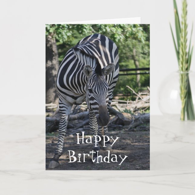 tarjeta de cumpleaños zebra (Anverso)
