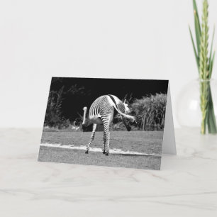 Tarjeta de cumpleaños Zebra Dancing