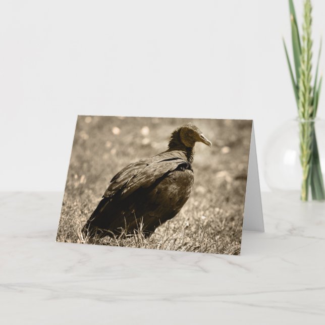Tarjeta de Customizeable del buitre (Anverso)