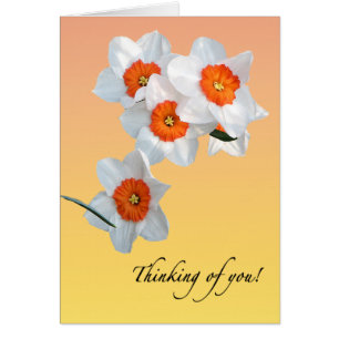 Tarjeta de Daffodil Flowers Floral de profesor