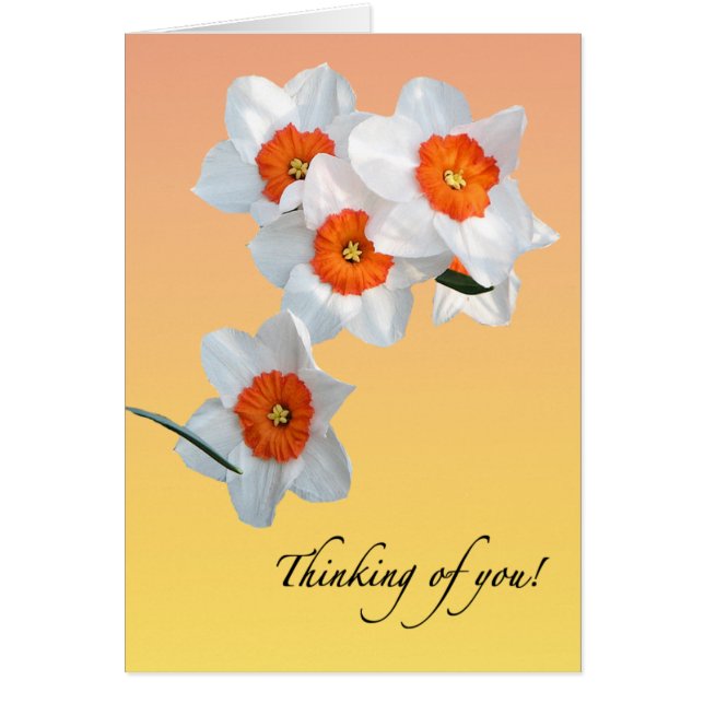 Tarjeta de Daffodil Flowers Floral de profesor (Frente)