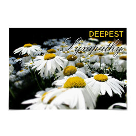 Tarjeta de Daisies de "más profunda simpatía"