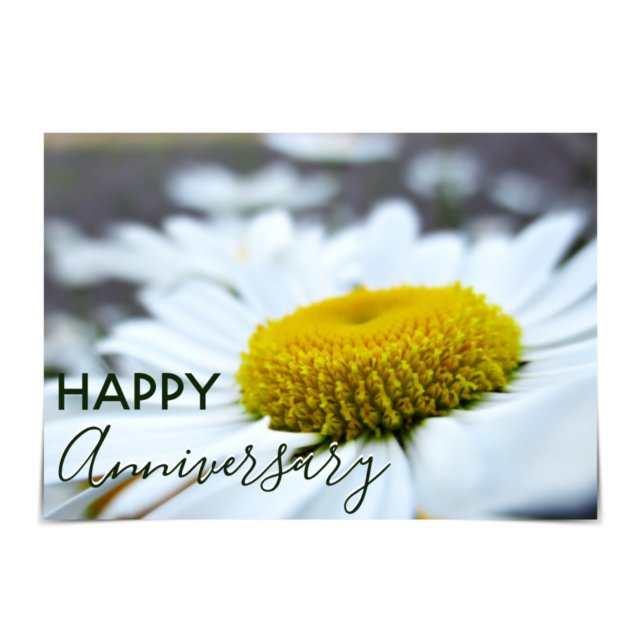 Tarjeta de Daisies "Feliz Aniversario" (Subido por el creador)