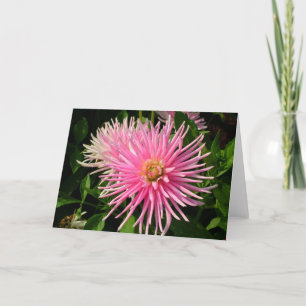 Tarjeta de Dalias Rosas