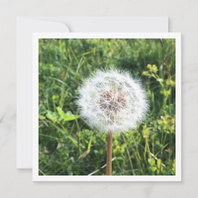 Tarjeta de dandelion personalizada (Anverso)