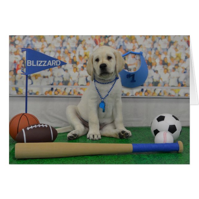 Tarjeta de deportes de la ventisca (Anverso (Horizontal))