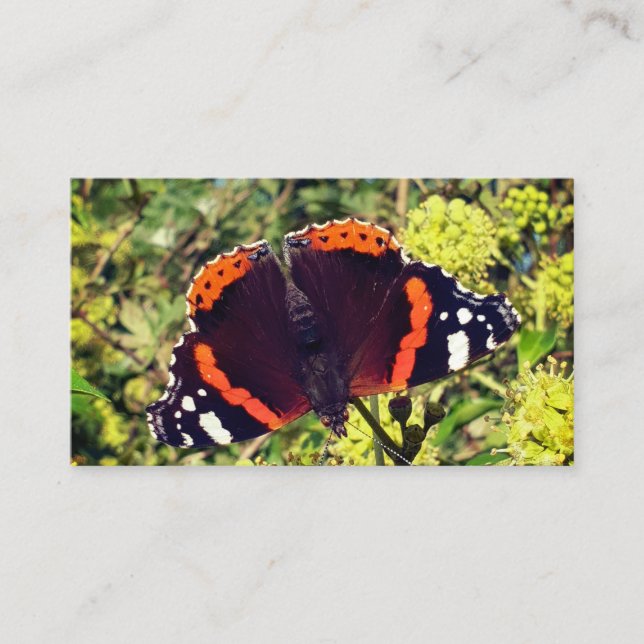 Tarjeta De Descuentos Almirante rojo raro mariposa y una abeja en (Anverso)
