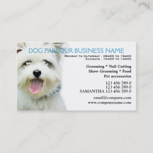 Tarjeta De Descuentos Cuidado de animales de compañía de la sala del