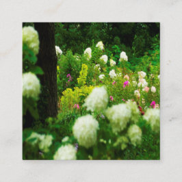 Tarjeta De Descuentos Hydrangeas en Límelight en Mi Jardín Rubio