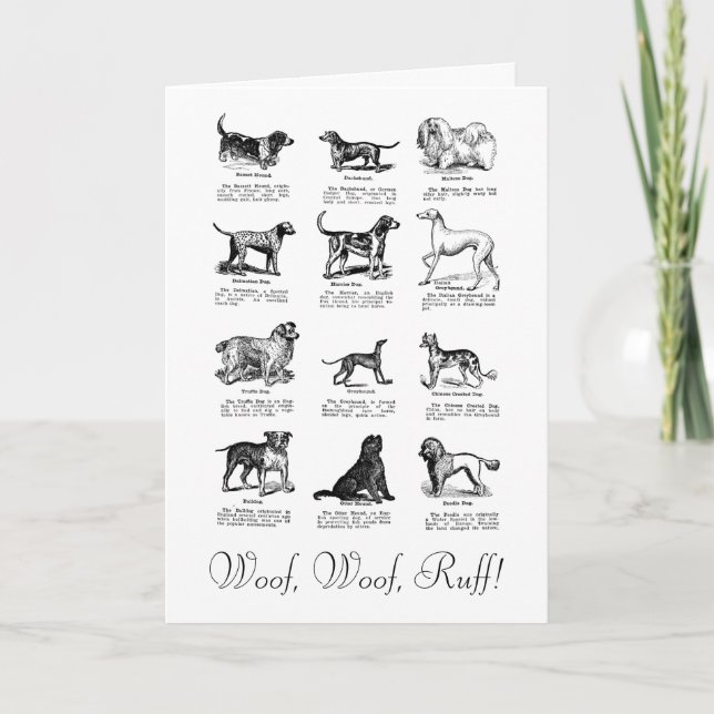 TARJETA DE DESEO DE CUMPLEAÑOS DE PERRO CLÁSICO (Anverso)